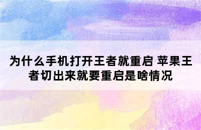 为什么手机打开王者就重启 苹果王者切出来就要重启是啥情况